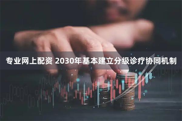 专业网上配资 2030年基本建立分级诊疗协同机制