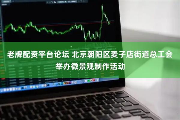 老牌配资平台论坛 北京朝阳区麦子店街道总工会举办微景观制作活动